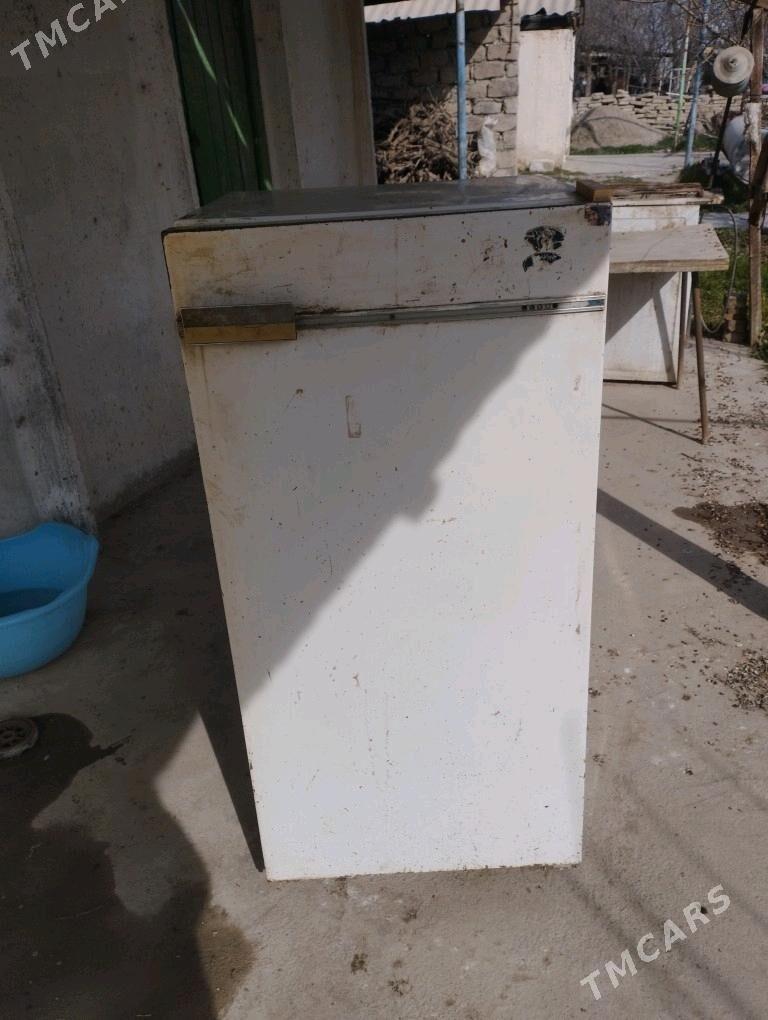 Holodilnik - Ýaşlyk - img 3