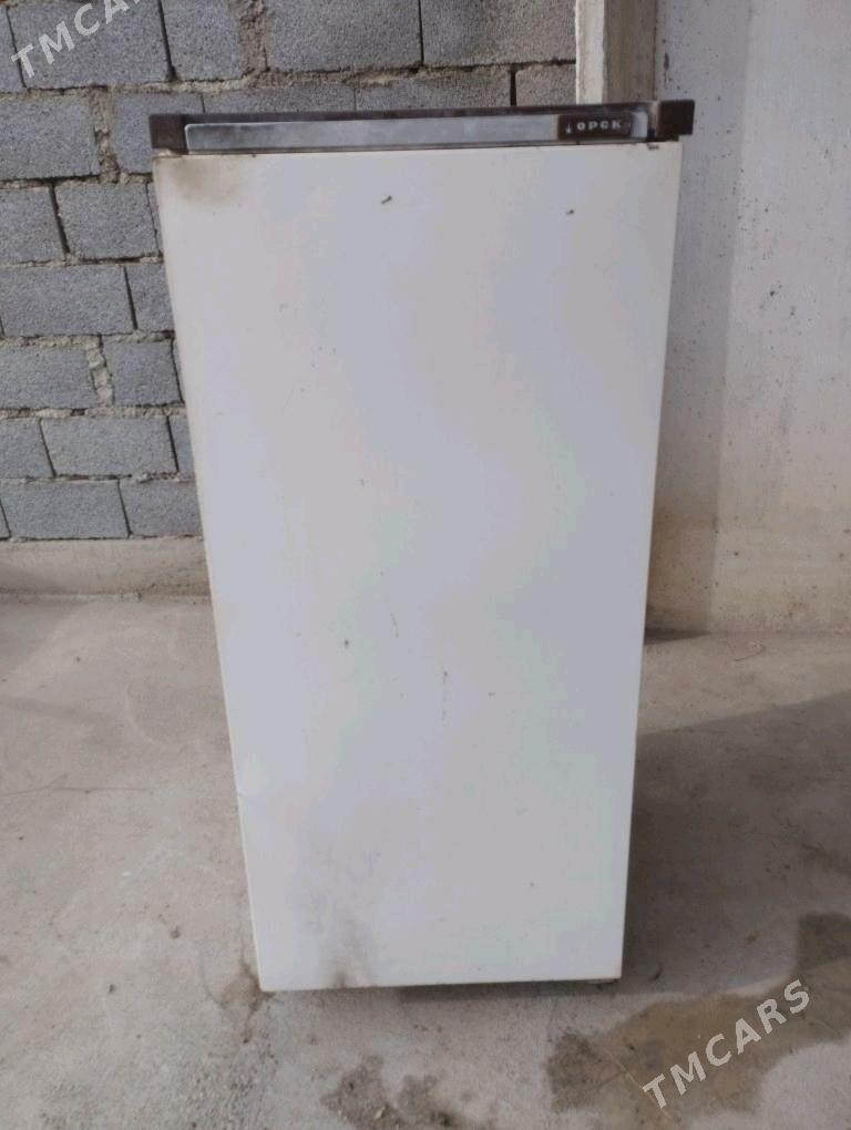 Holodilnik - Ýaşlyk - img 1