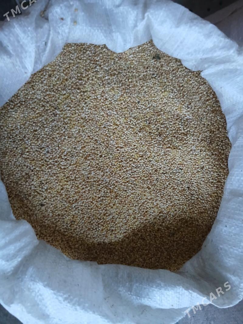 Dary iýimlik - Tejen - img 2