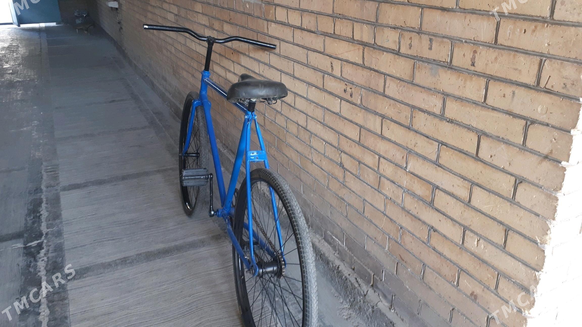 ural velik - Türkmenabat - img 3