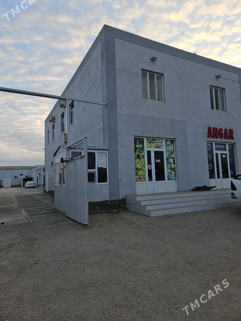 taÿÿar önimçilik - Sakarçäge - img 1