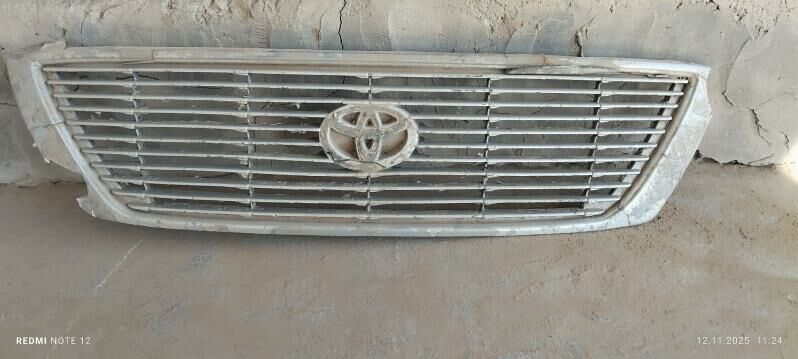 awalon abylsowka 50 TMT - Сакарчага - img 1