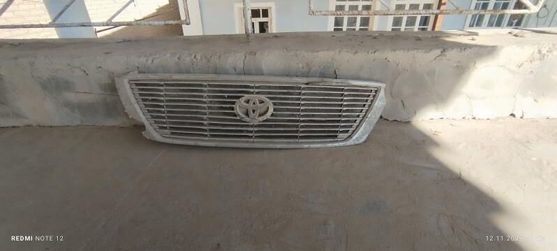 awalon abylsowka 50 TMT - Сакарчага - img 2