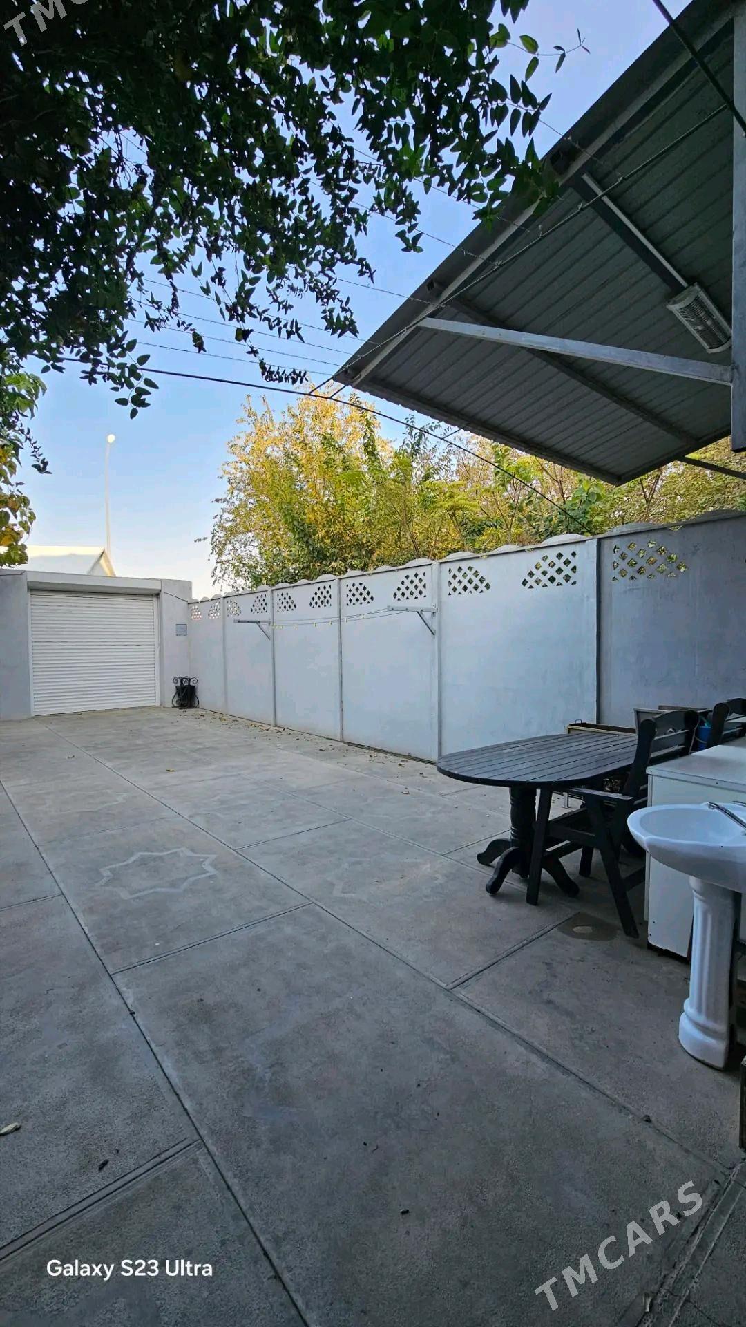 Satlyk jay - Mary - img 2