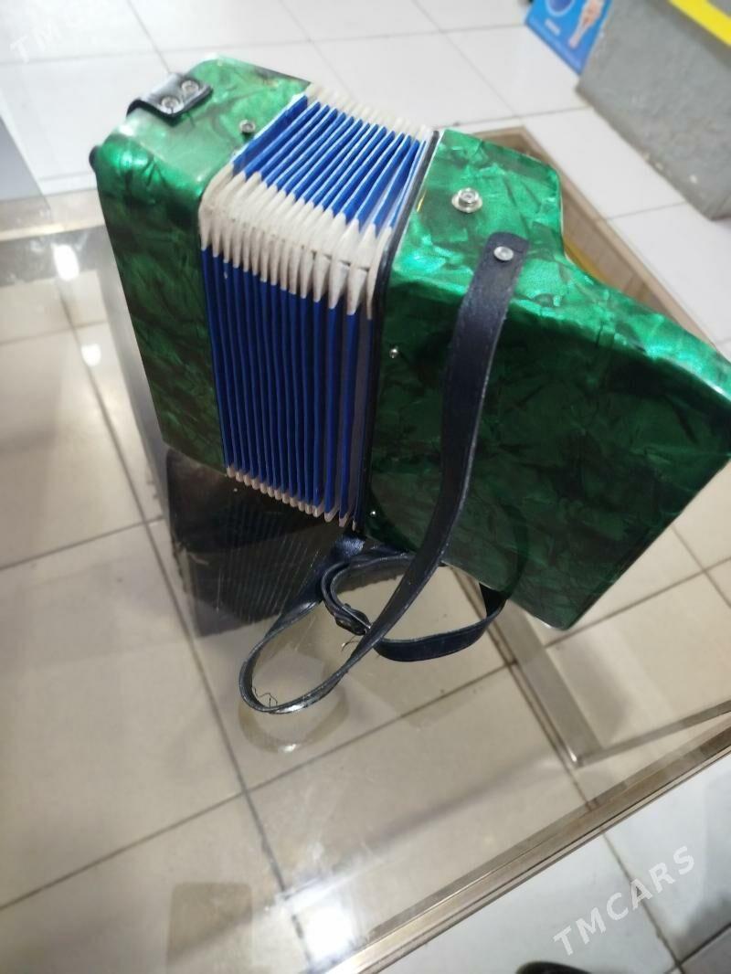 Akardiyon çaga - Мары - img 2