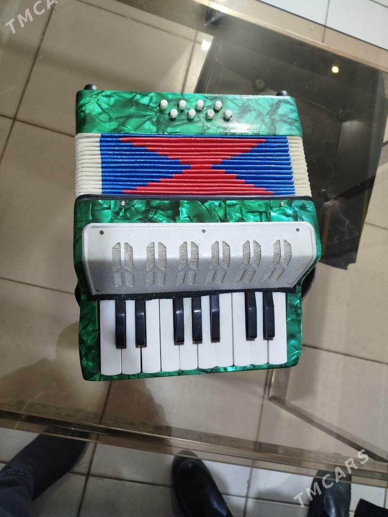 Akardiyon çaga - Мары - img 3