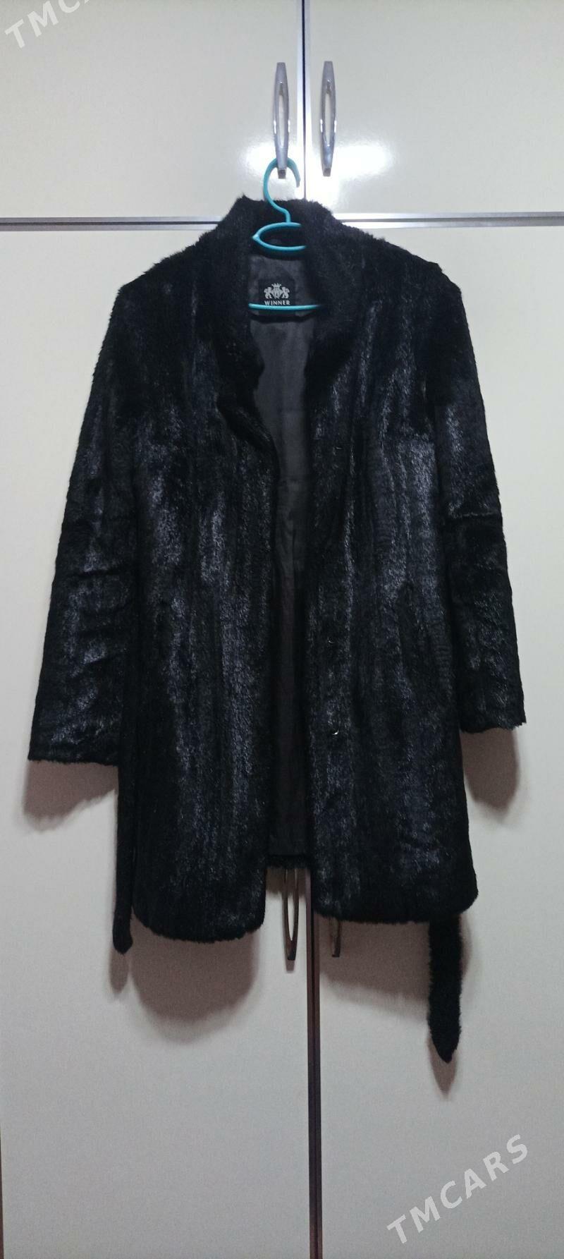 şuba - Balkanabat - img 1