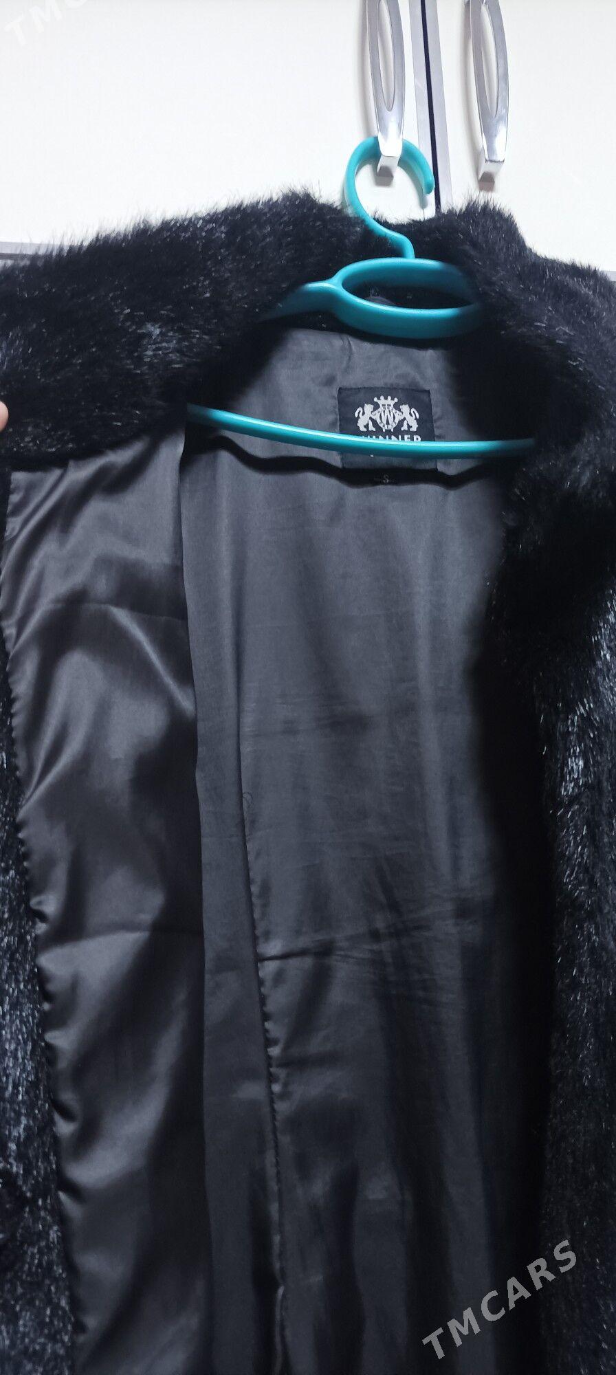 şuba - Balkanabat - img 3