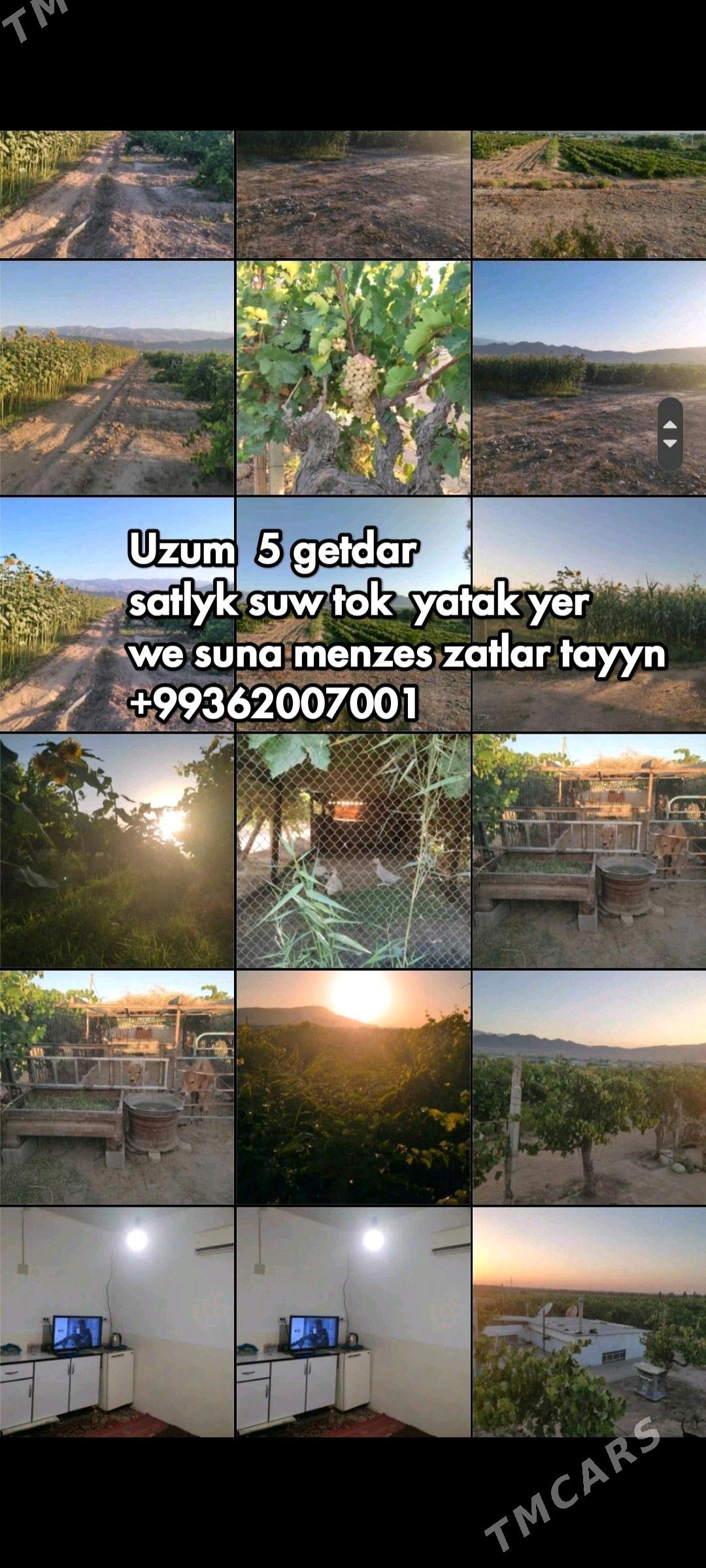 Üzum 5 getdar - Ашхабад - img 2