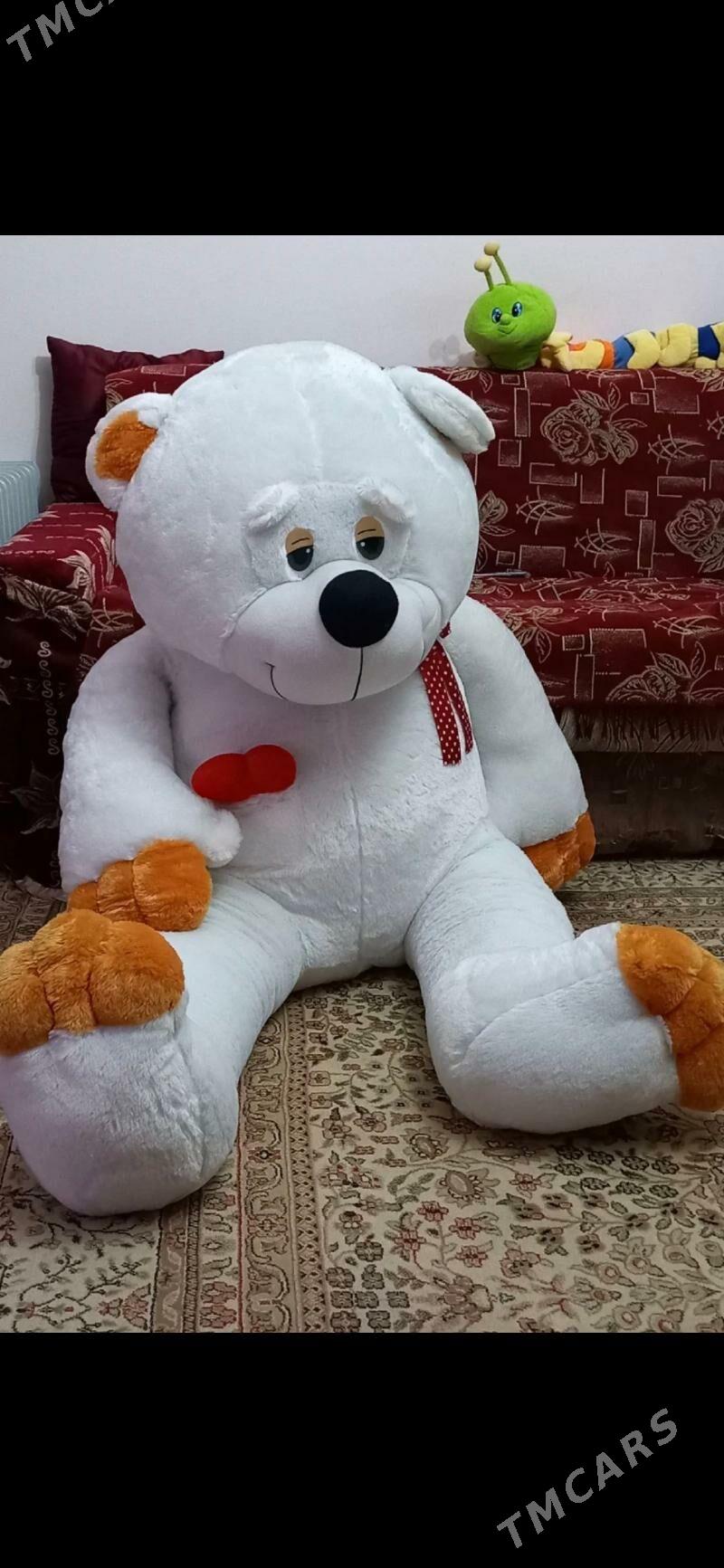 Мишка - Ашхабад - img 1