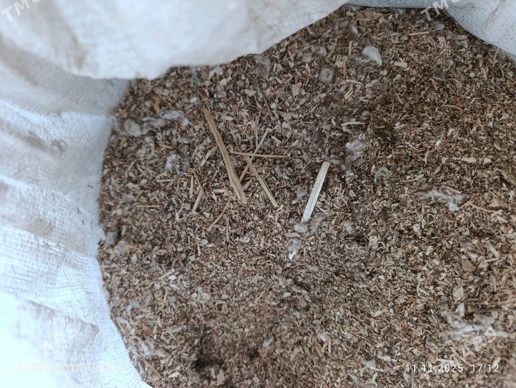 üwelen saman çaññalak - Теджен - img 4