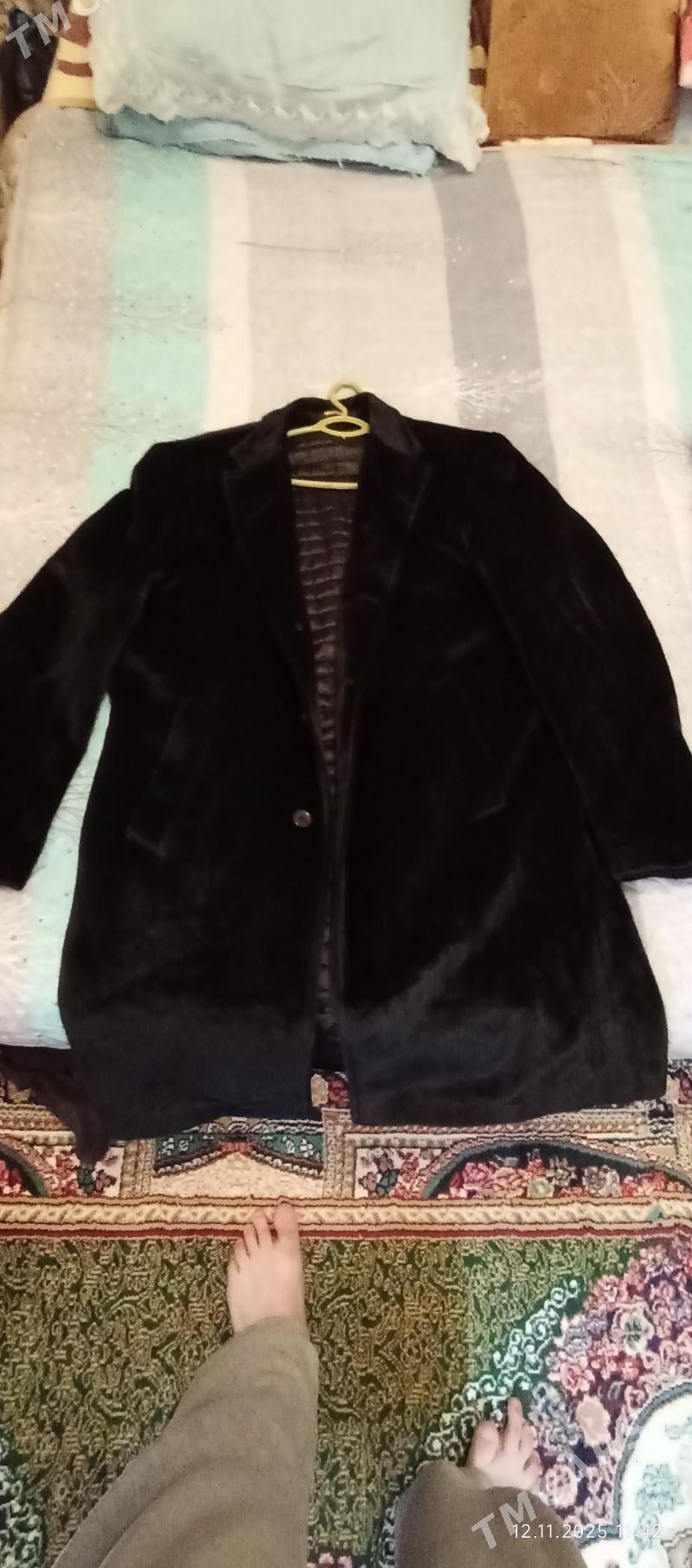 Polto - Türkmenabat - img 1