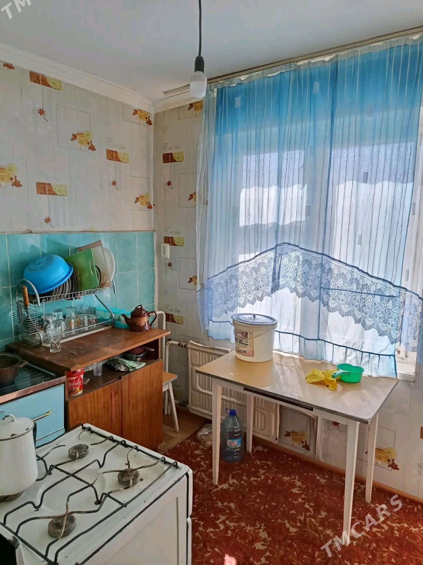 Satlyk jay - Mary - img 5