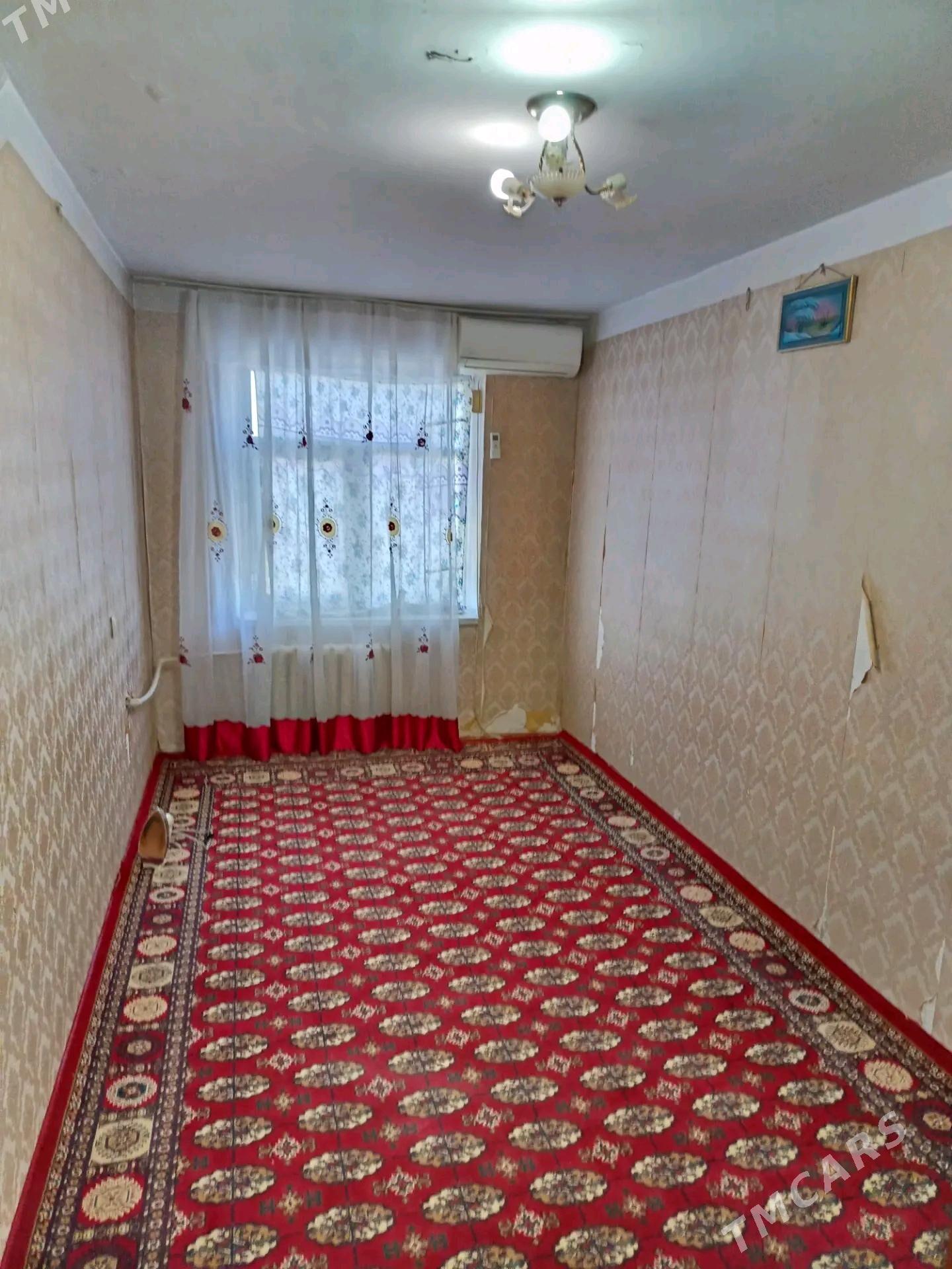 Satlyk jay - Mary - img 10