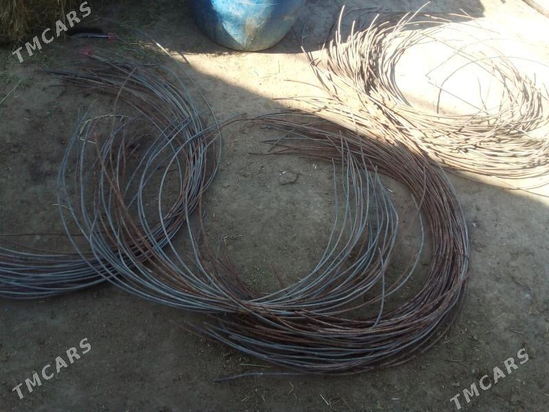 ekin sim - Бузмеин - img 3