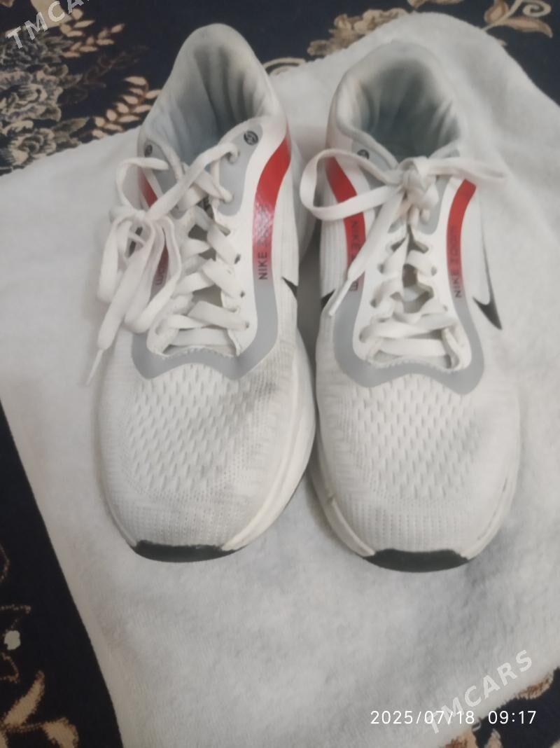 ploýak.kövüşler ählisi satilýa - Ашхабад - img 7