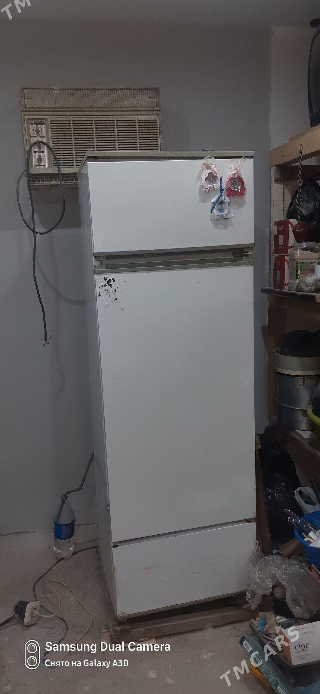 nord - Daşoguz - img 1