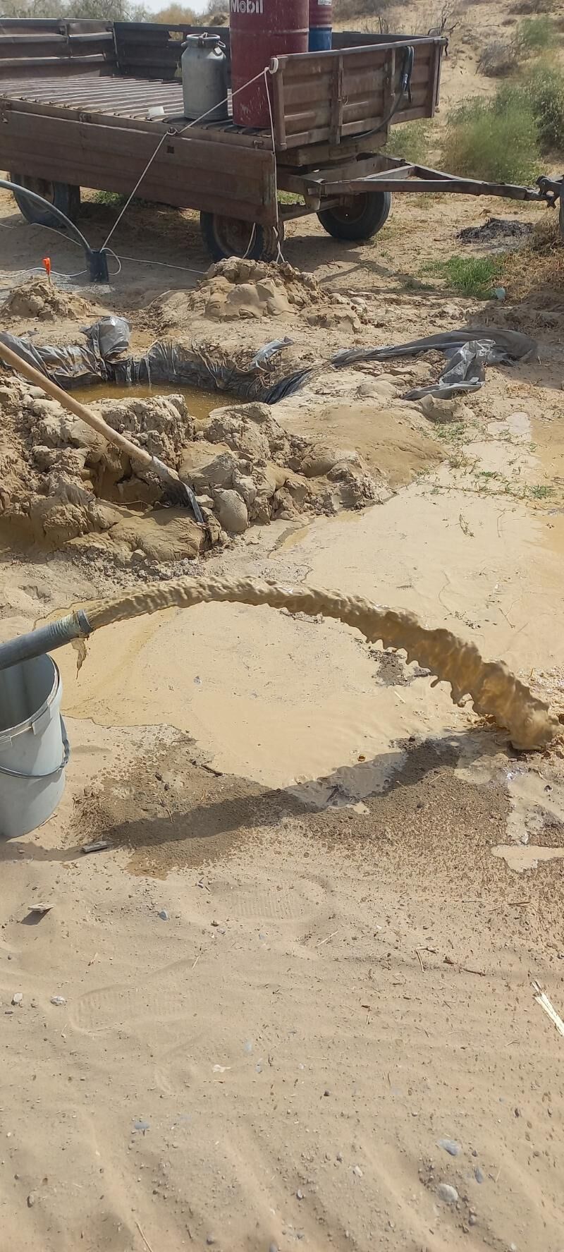 guyy gazyas - Bagyr - img 5