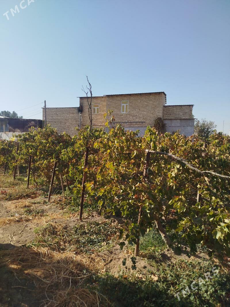 Продаю дачу 7 соток - Türkmenabat - img 3