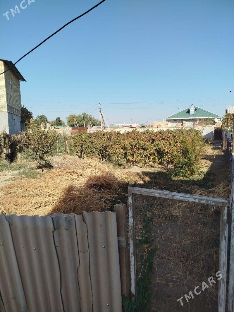 Продаю дачу 7 соток - Türkmenabat - img 2