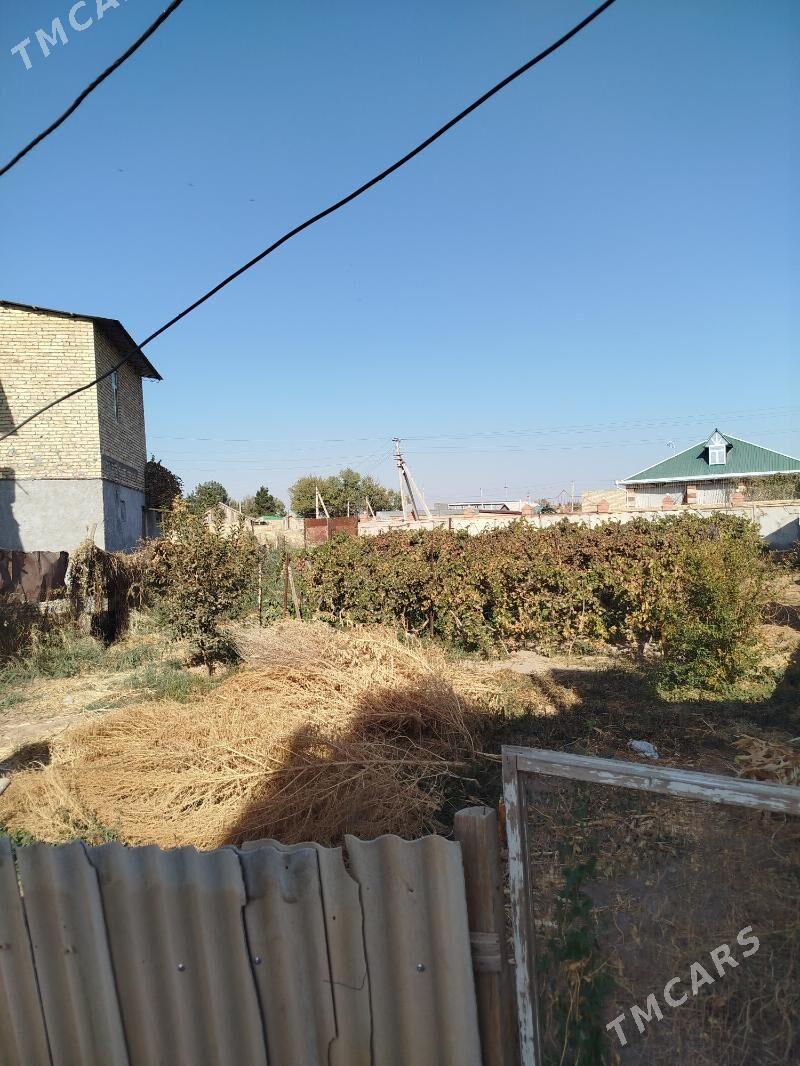 Продаю дачу 7 соток - Türkmenabat - img 1