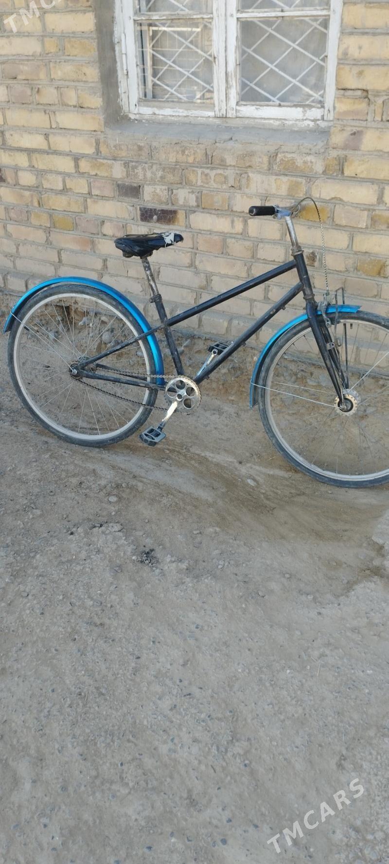 Tigir - Мургап - img 1