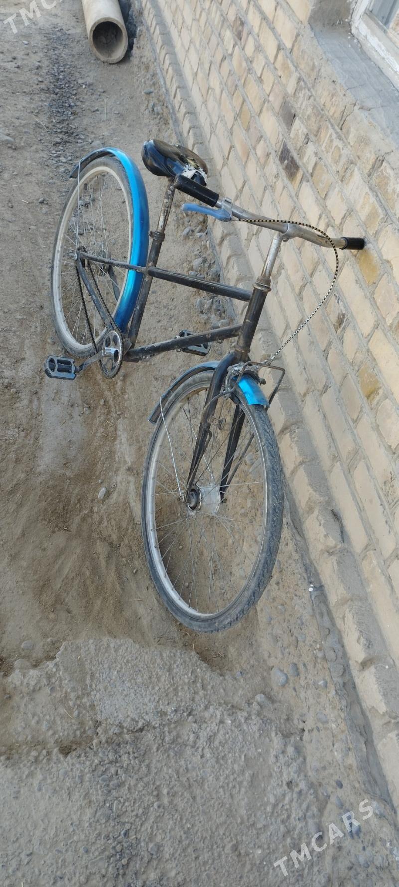 Tigir - Мургап - img 2