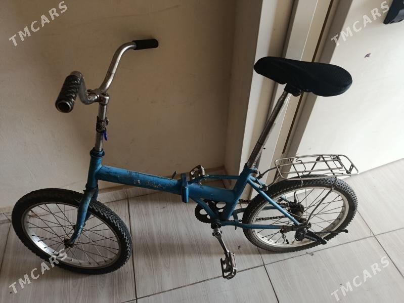 Kama tigir - Arkadag - img 1