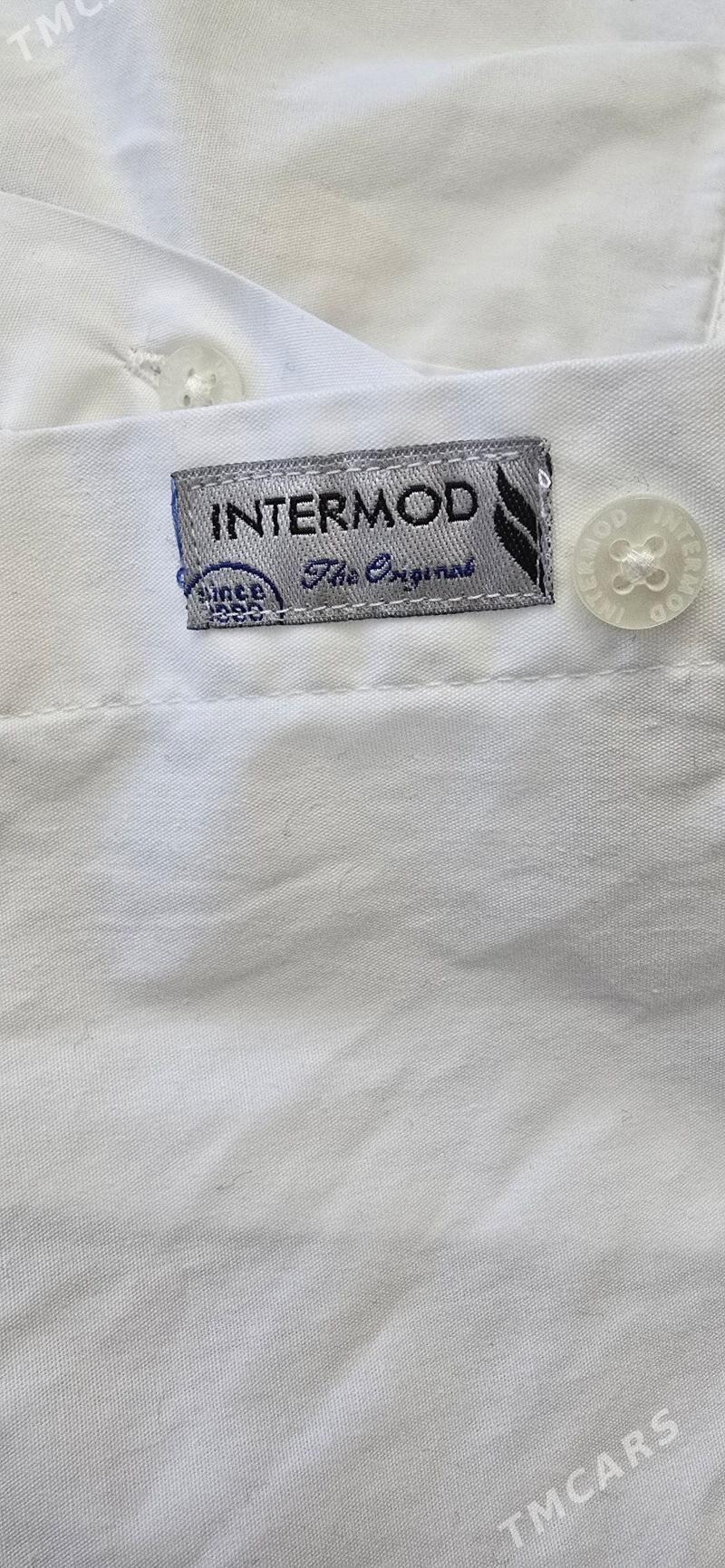 Koynek - Ашхабад - img 3