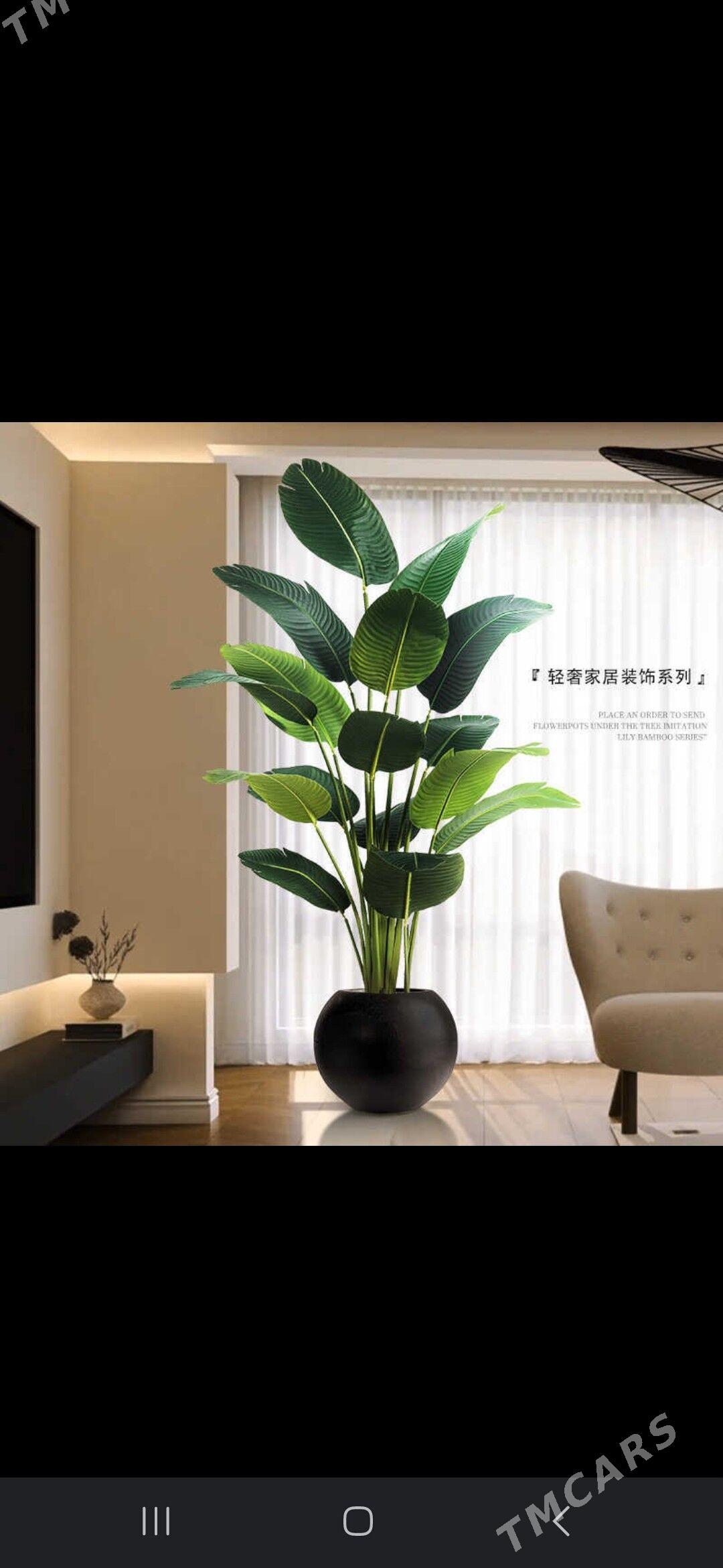 Otag gul - Ашхабад - img 1