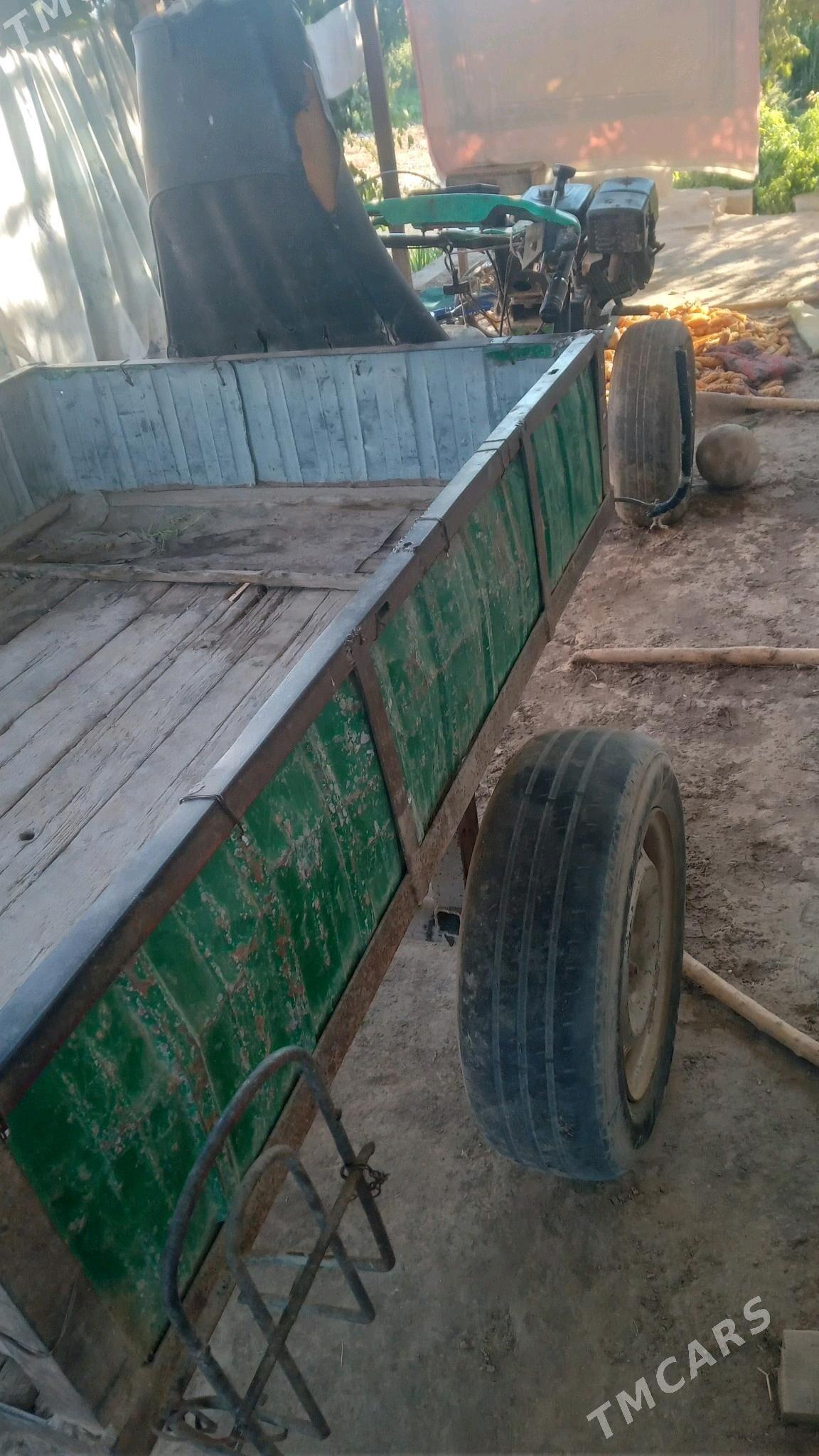 minni tyraktor - Gurbansoltan Eje - img 1