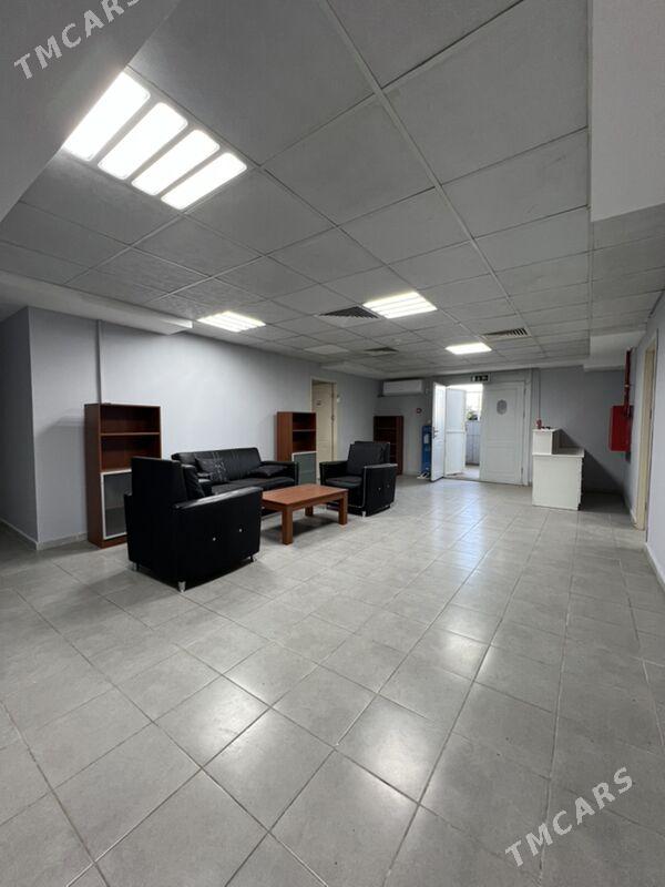 Ofıs uçın Pol Podwal Gurtlyda - Ашхабад - img 5