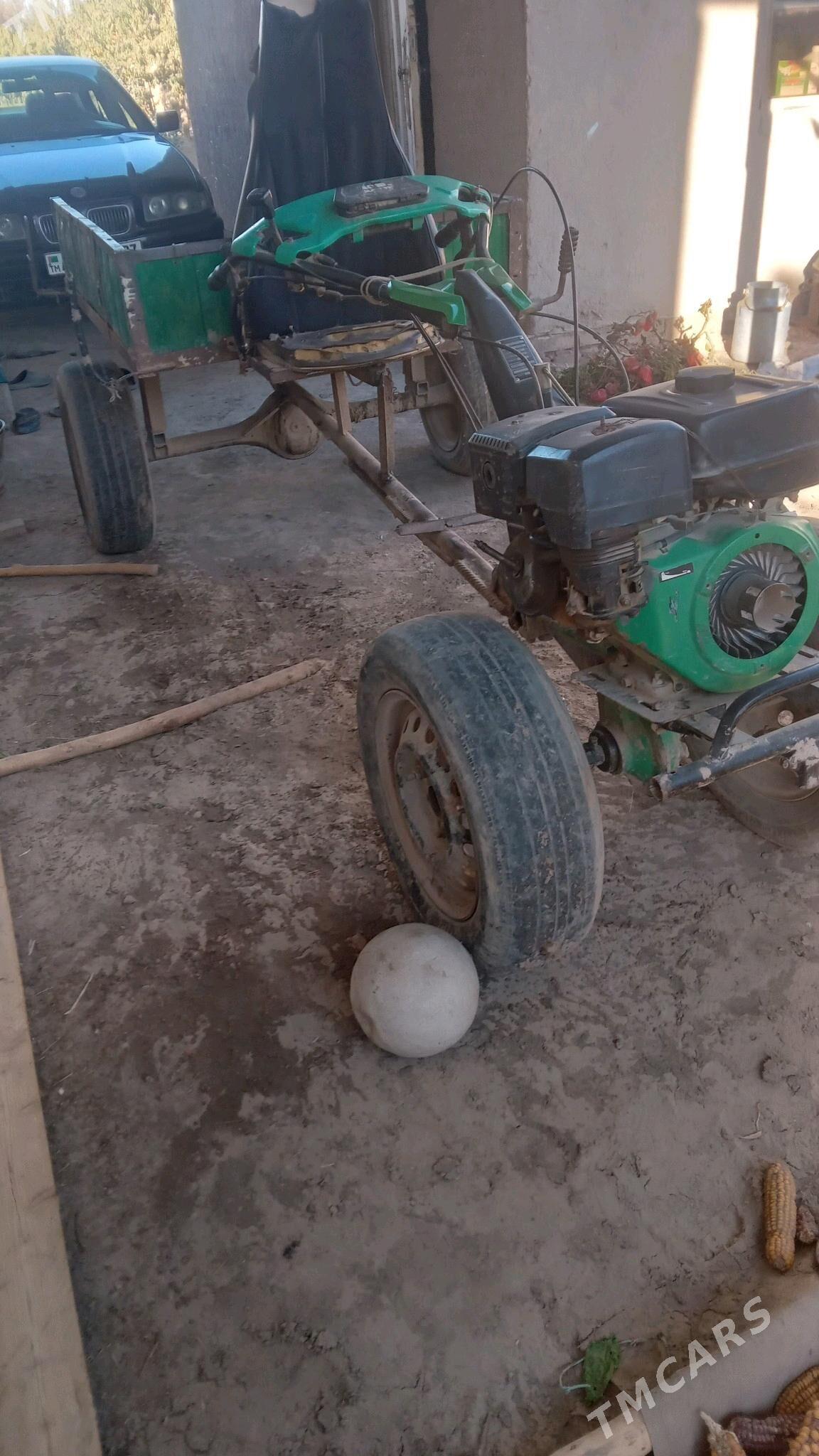 minni tyraktor - Gurbansoltan Eje - img 2