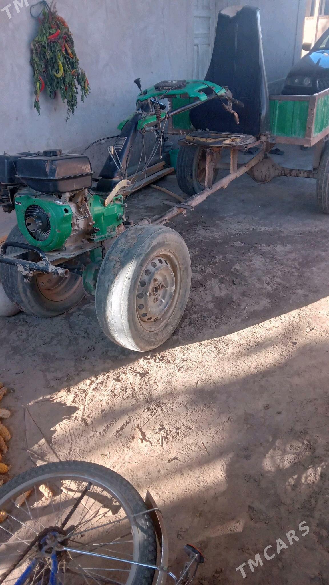 minni tyraktor - Gurbansoltan Eje - img 3