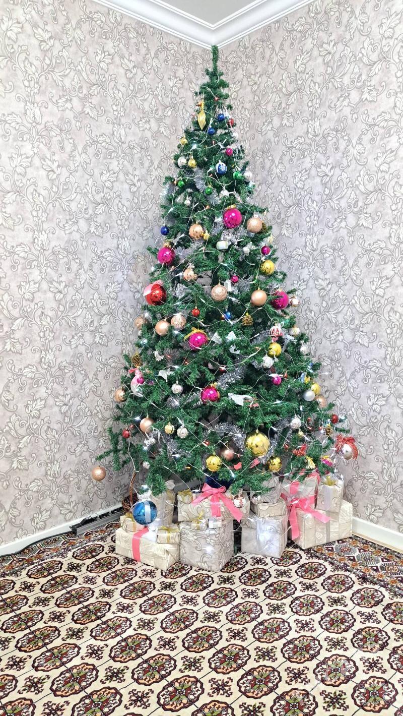 Yolka arca ёлка - Aşgabat - img 1