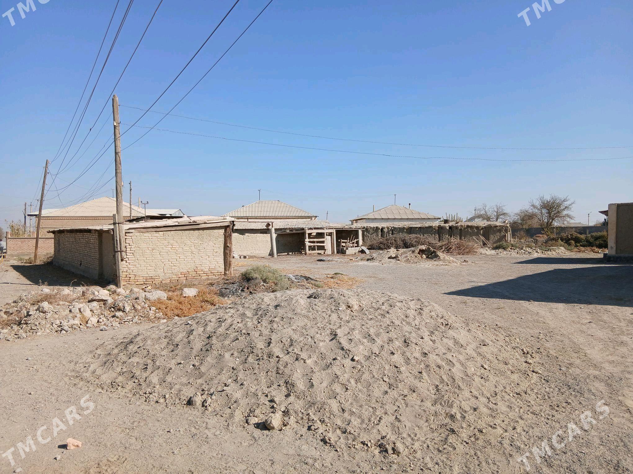 sadly jaÿ - Bäherden - img 1