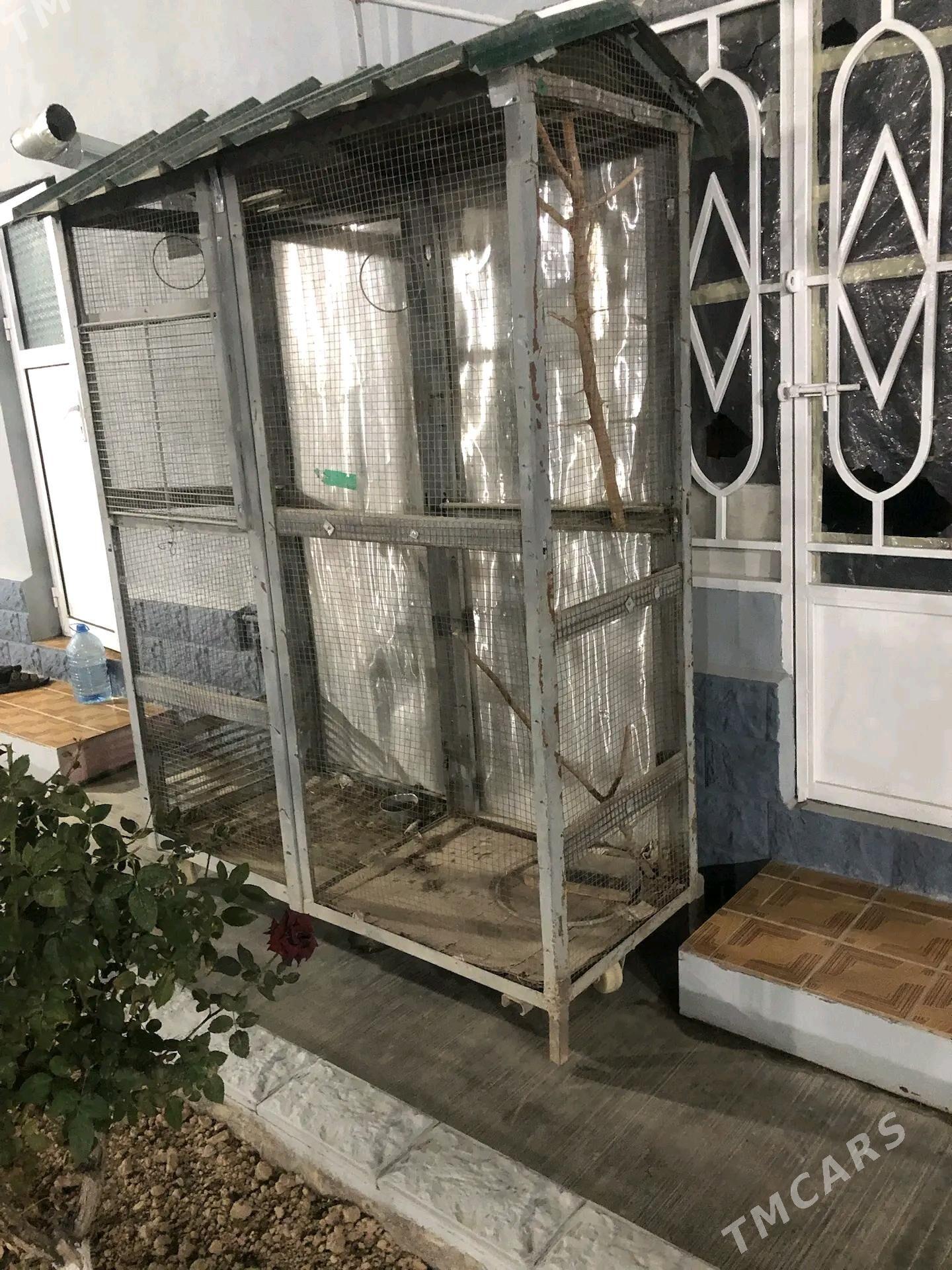 Guş kletka - Garadamak - img 3