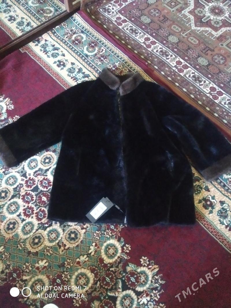 Iki taraplayyn şuba - Mary - img 2