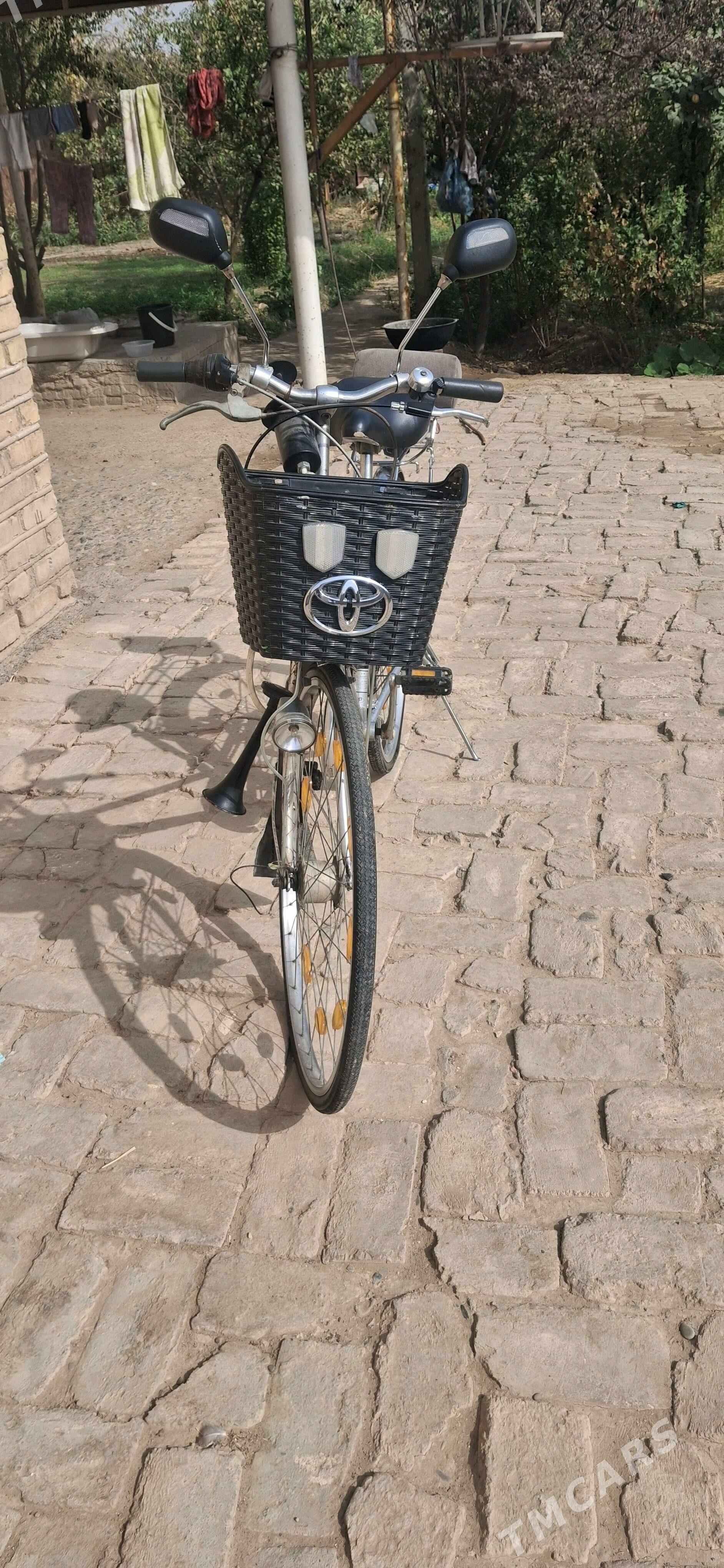 Welsepid 27 - Мары - img 2