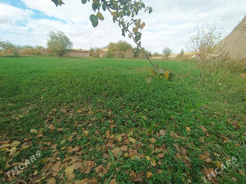 16 sotka mellek yer berilyar - Чарджоу - img 1