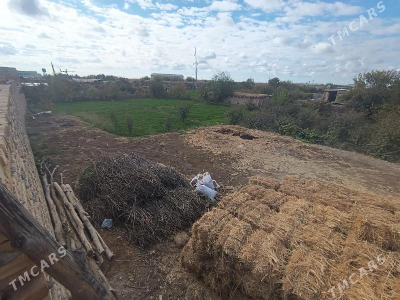 16 sotka mellek yer berilyar - Чарджоу - img 2