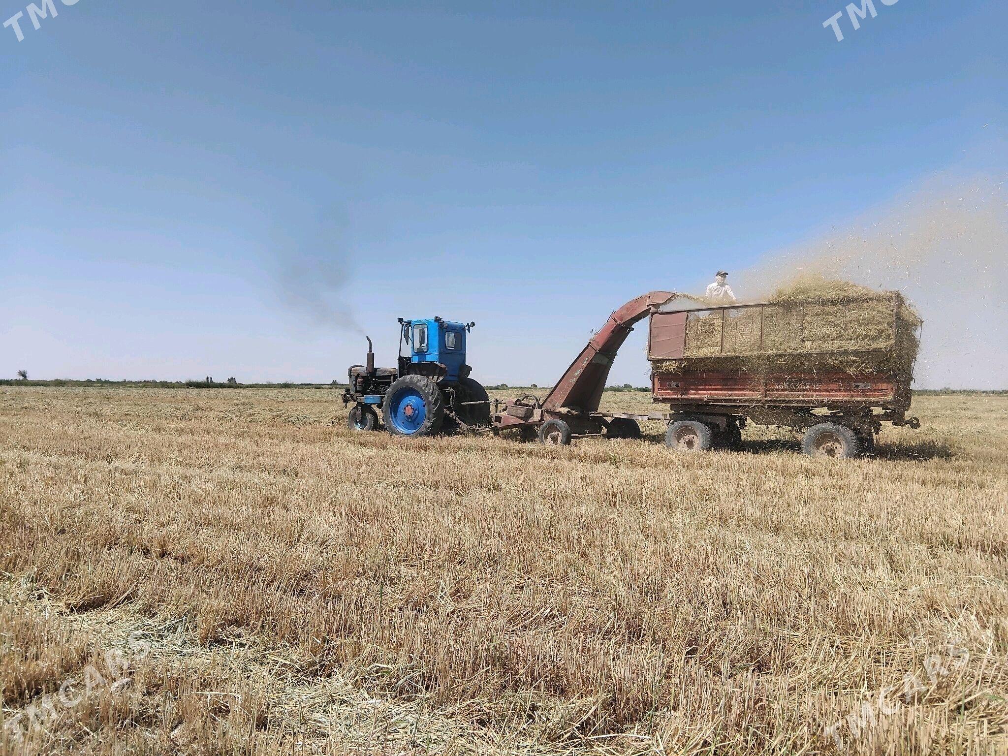 MTZ T-28 1992 - 40 000 TMT - Mary - img 3