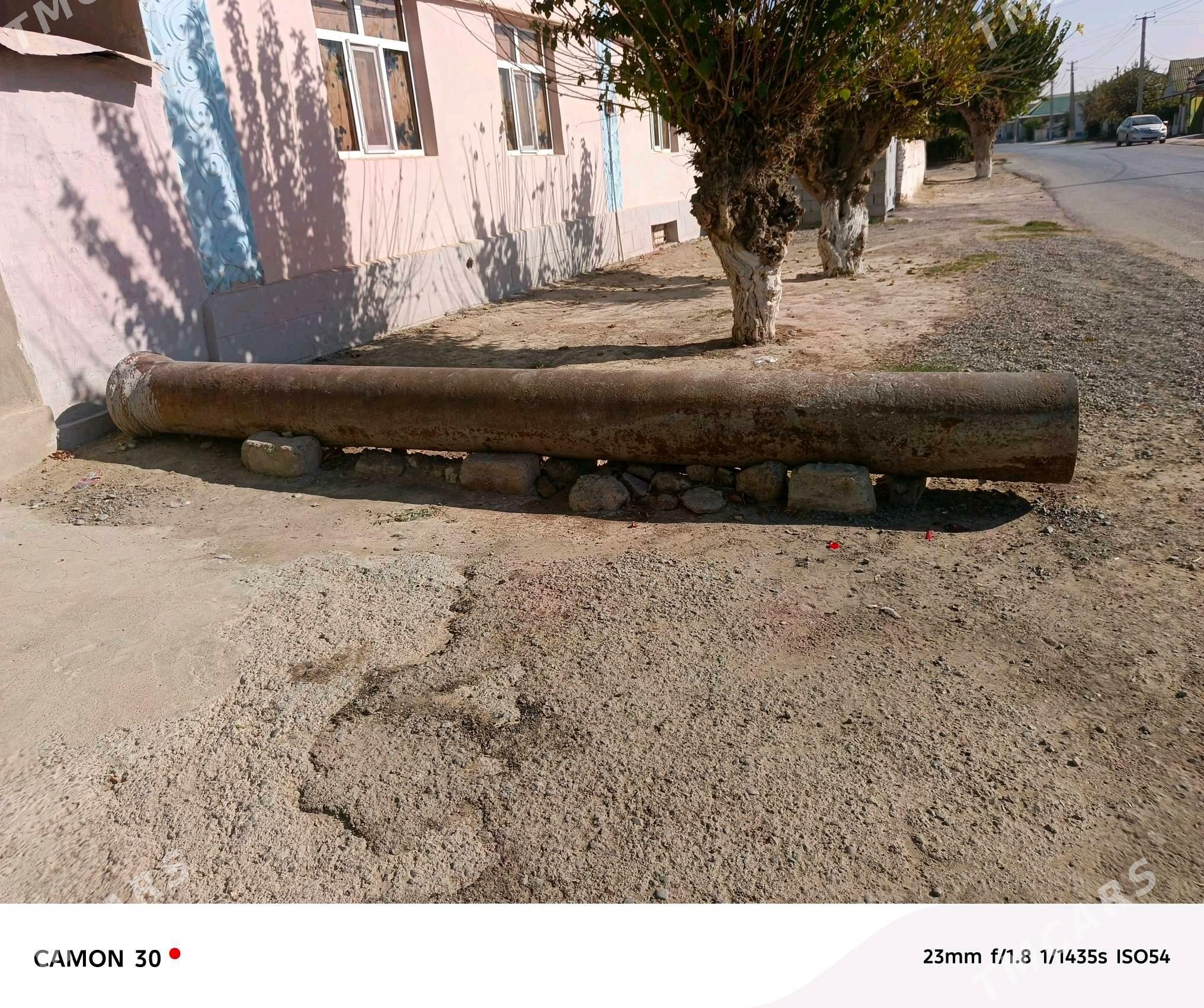 çoýun turba - Bagyr - img 2