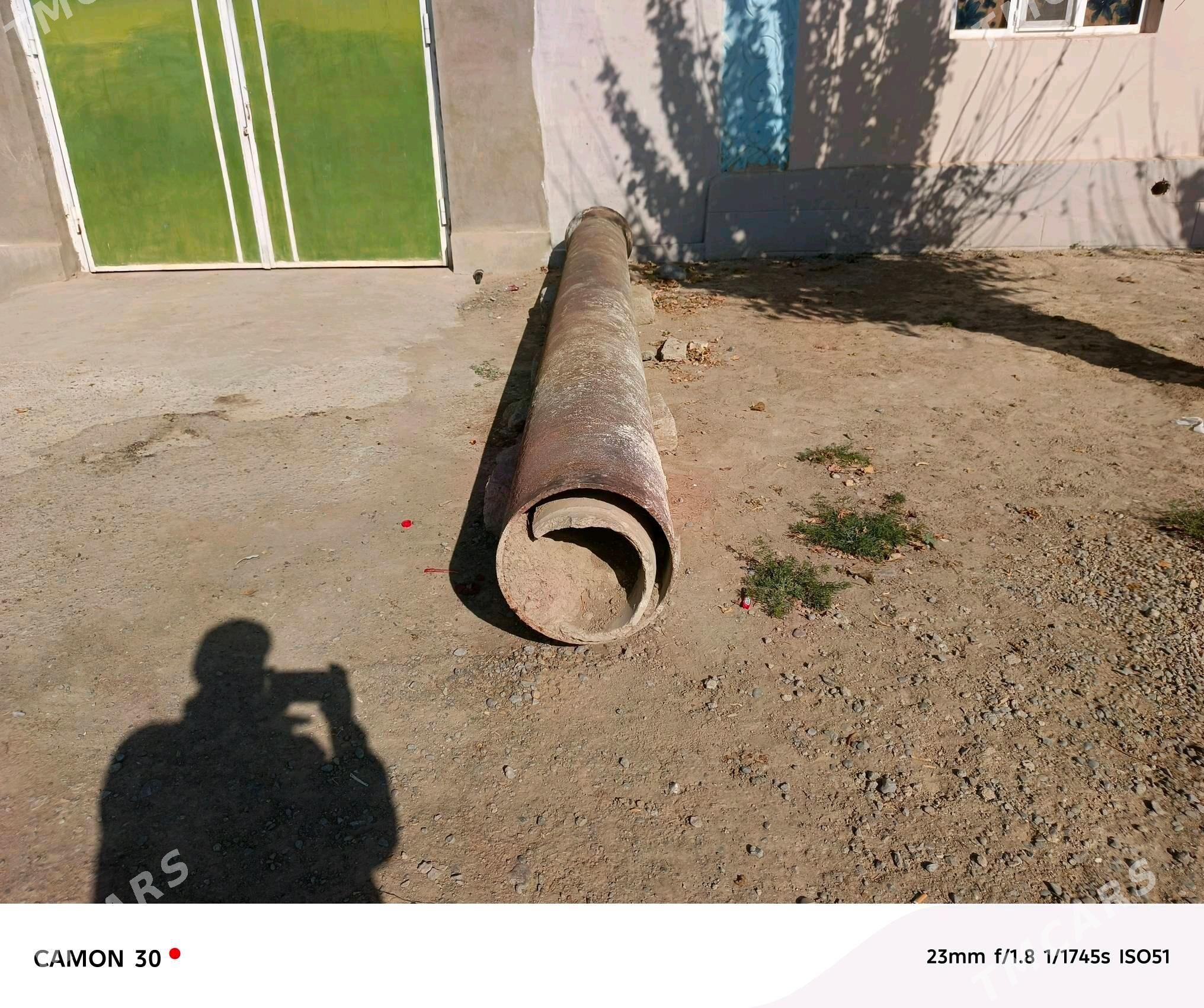 çoýun turba - Bagyr - img 3