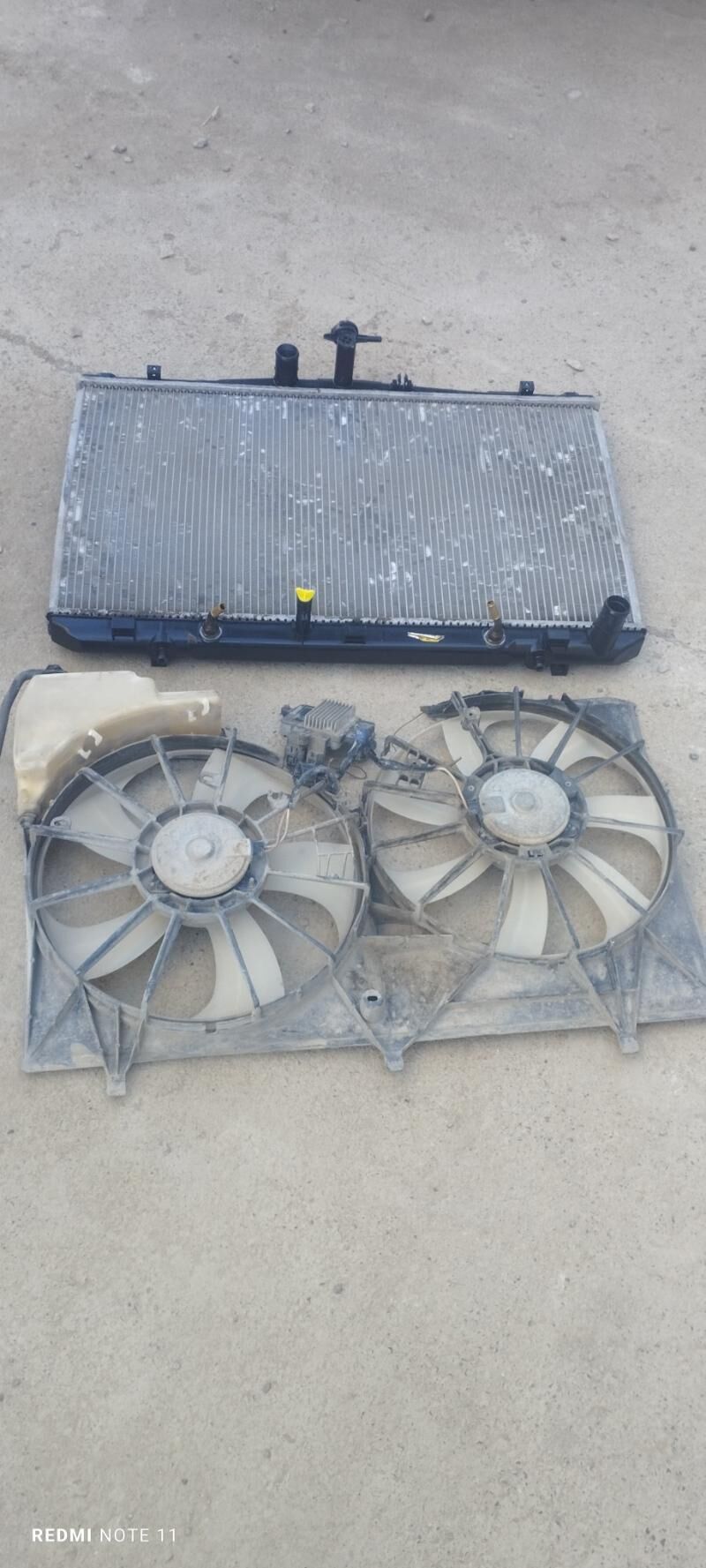 Radiýator lopus 500 TMT - Mary - img 2