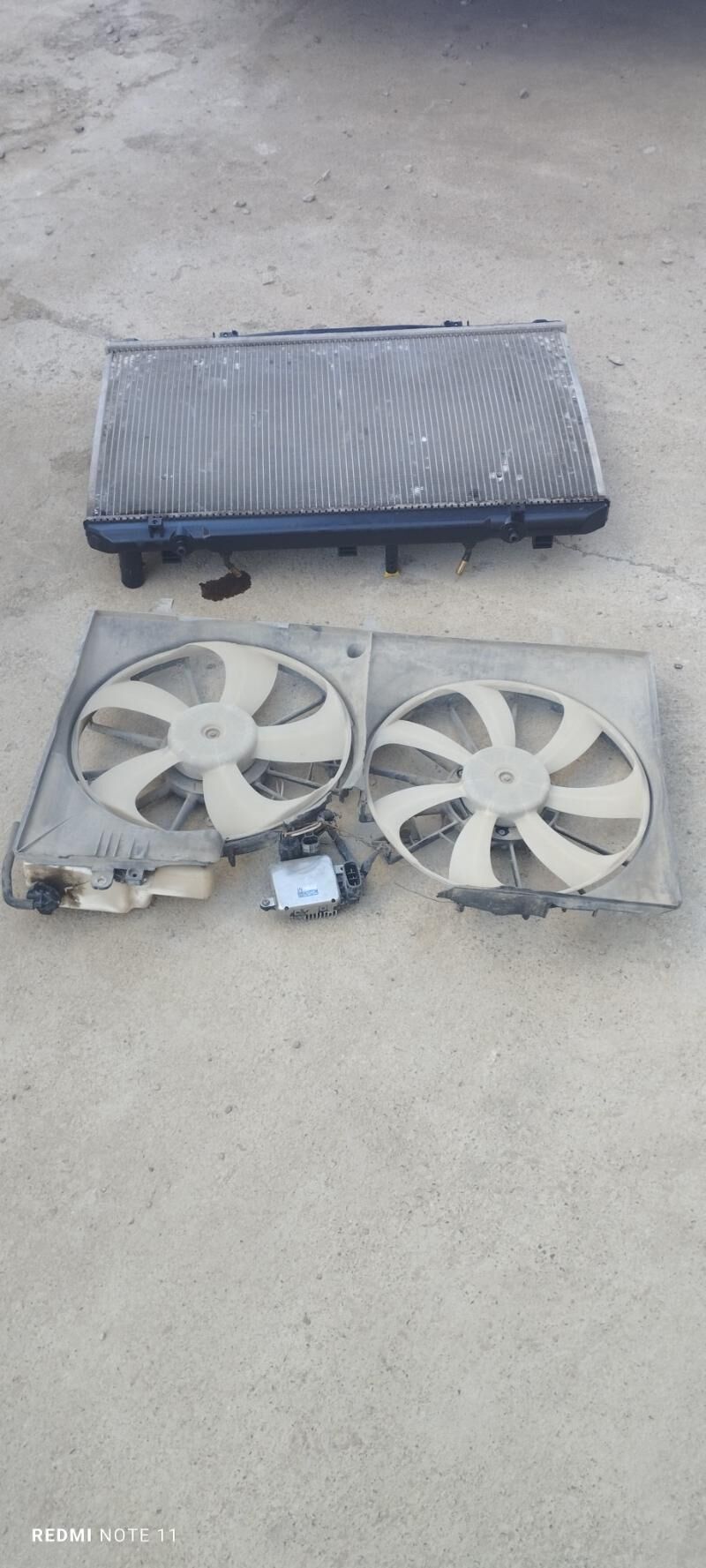 Radiýator lopus 500 TMT - Mary - img 1