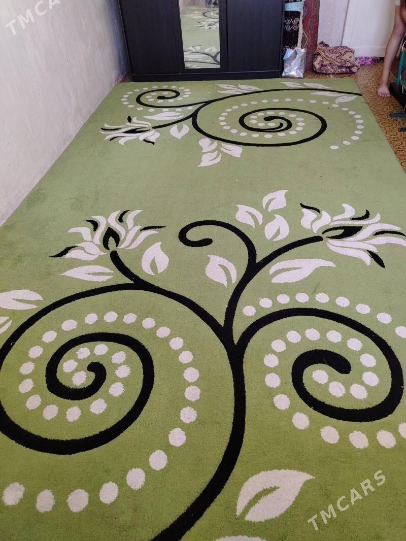 Haly - Balkanabat - img 1