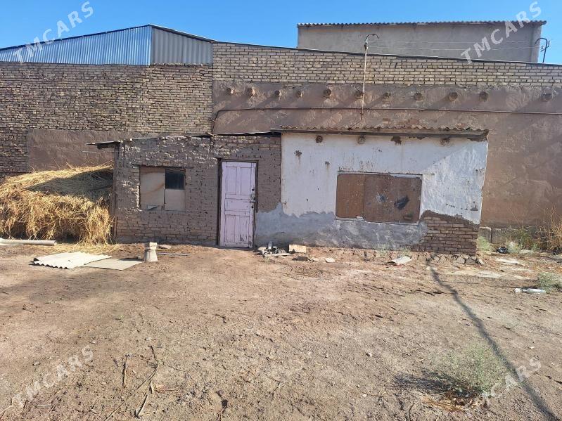 Дом - Türkmenabat - img 3