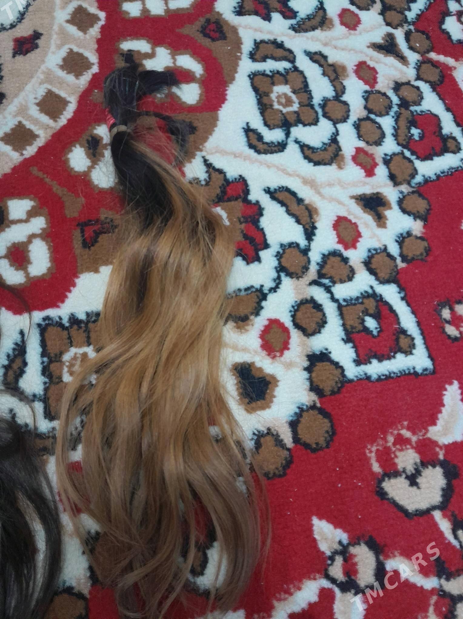 Saç - Görogly (Tagta) - img 1