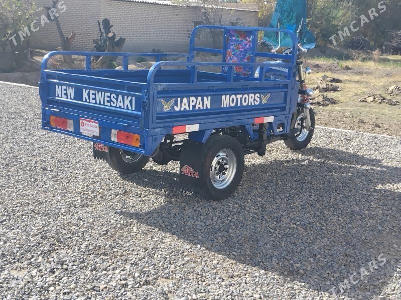 Fekon FK200-14G 2015 - 16 000 TMT - Sakarçäge - img 4